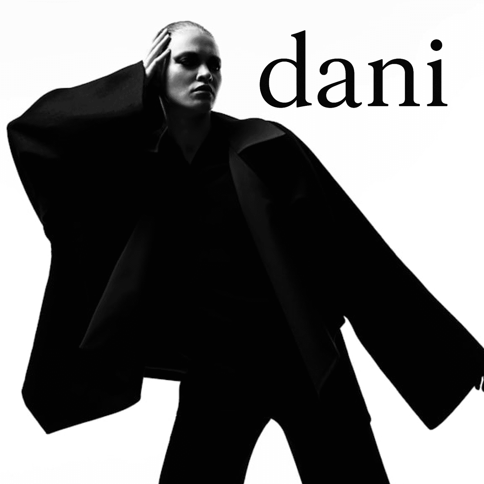 Dani Application Interface